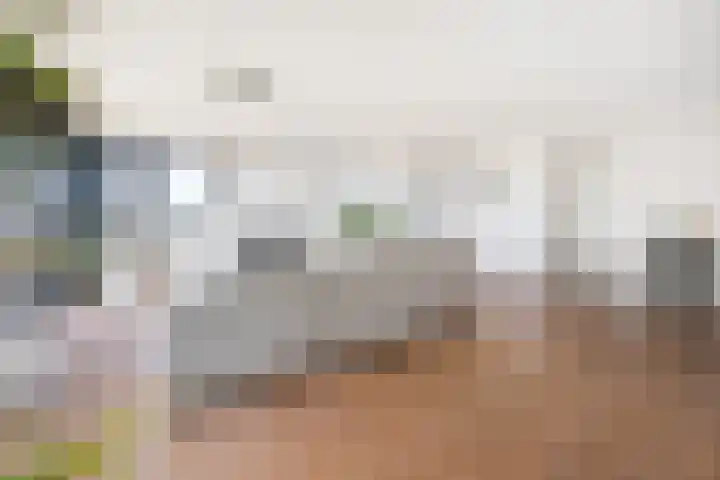 Burgemeester Nederbragtpark 57 Voorburg thumbnail 6