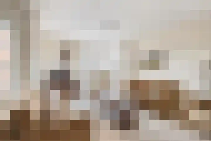 Burgemeester Nederveenlaan 15 Zevenhuizen thumbnail 12