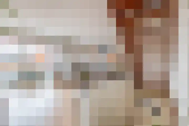 Burgemeester Nederveenlaan 45 Zevenhuizen thumbnail 10