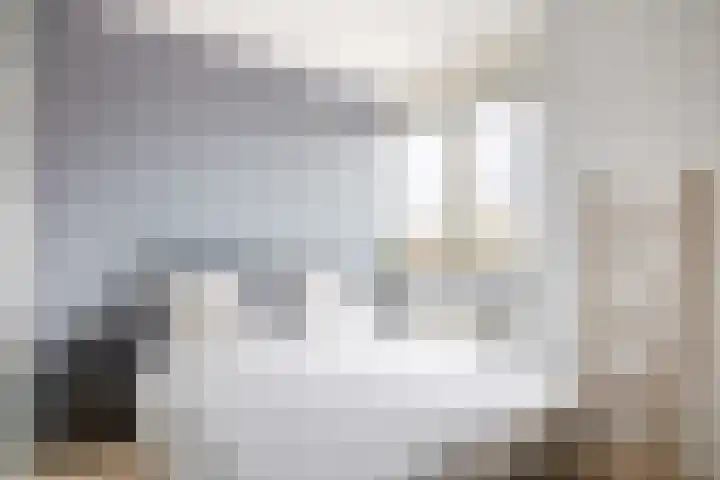 Burgemeester Nederveenlaan 45 Zevenhuizen thumbnail 18