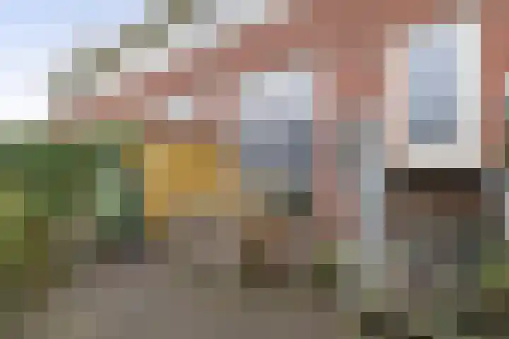 Burgemeester Nederveenlaan 45 Zevenhuizen thumbnail 32