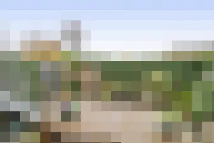 Burgemeester Nederveenlaan 45 Zevenhuizen thumbnail 33