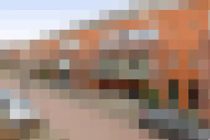Burgemeester Nederveenlaan 45 Zevenhuizen thumbnail 34