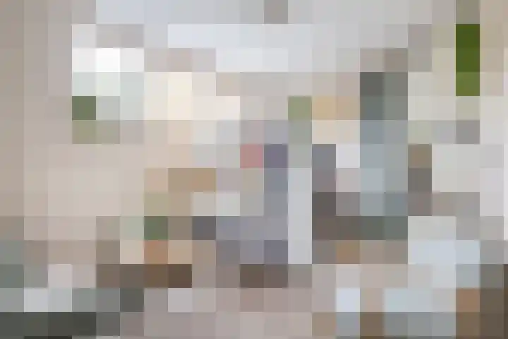 Burgemeester Nederveenlaan 45 Zevenhuizen thumbnail 8
