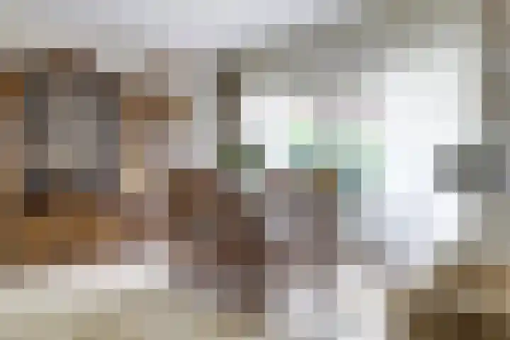 Burgemeester Nieborgstraat 11 Nieuw-Lekkerland thumbnail 6