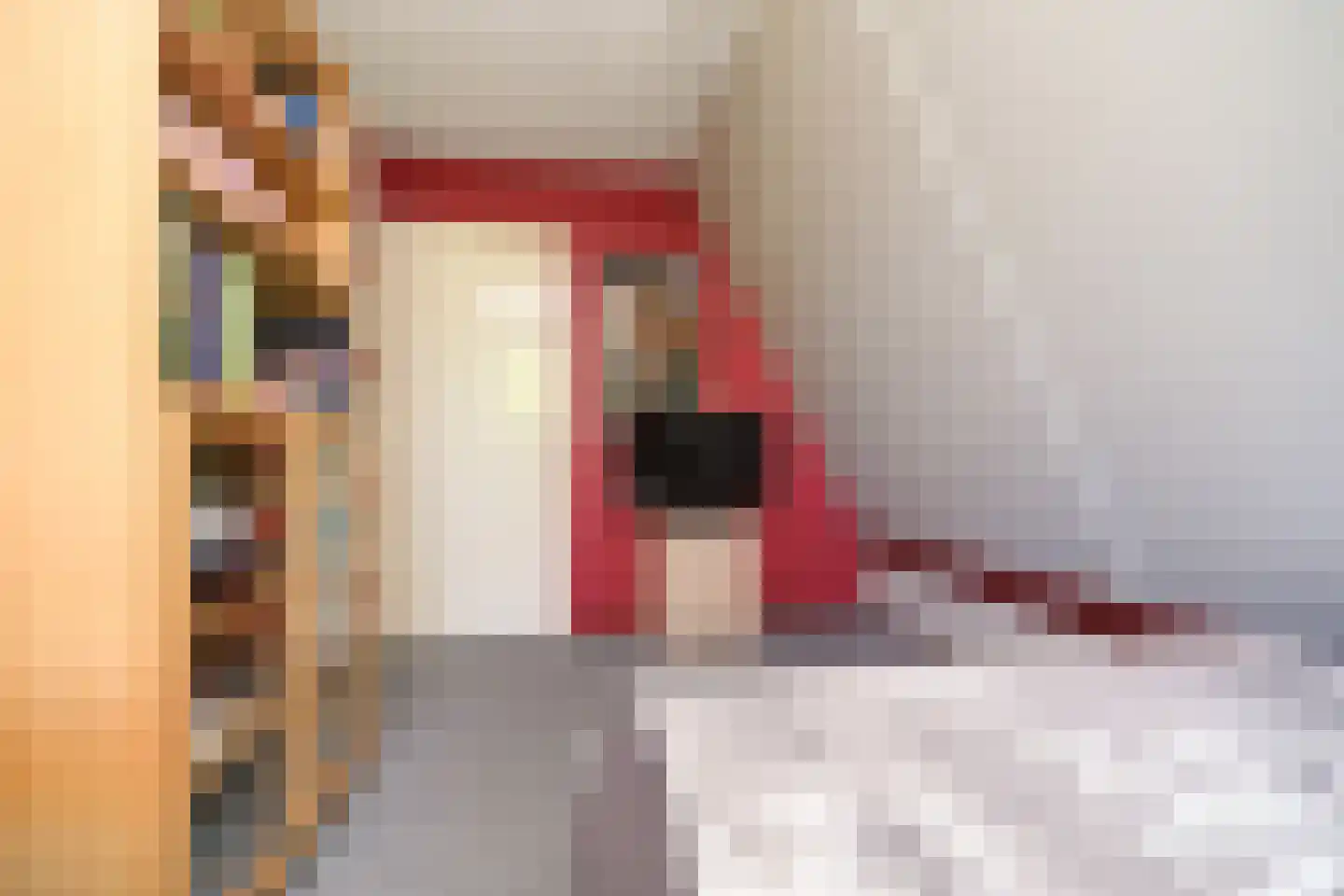 Burgemeester Nieborgstraat 15 Nieuw-Lekkerland thumbnail 34