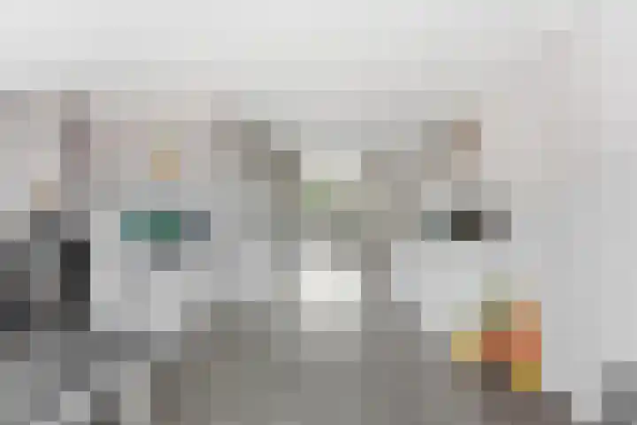 Burgemeester Nieborgstraat 4 Nieuw-Lekkerland thumbnail 10