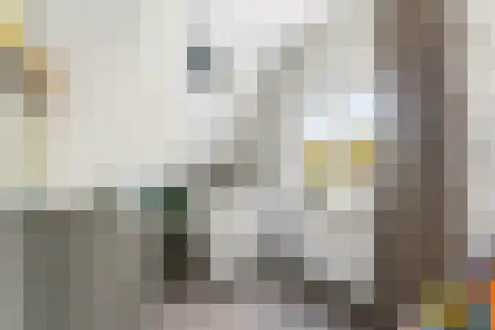 Burgemeester Nieborgstraat 4 Nieuw-Lekkerland thumbnail 27