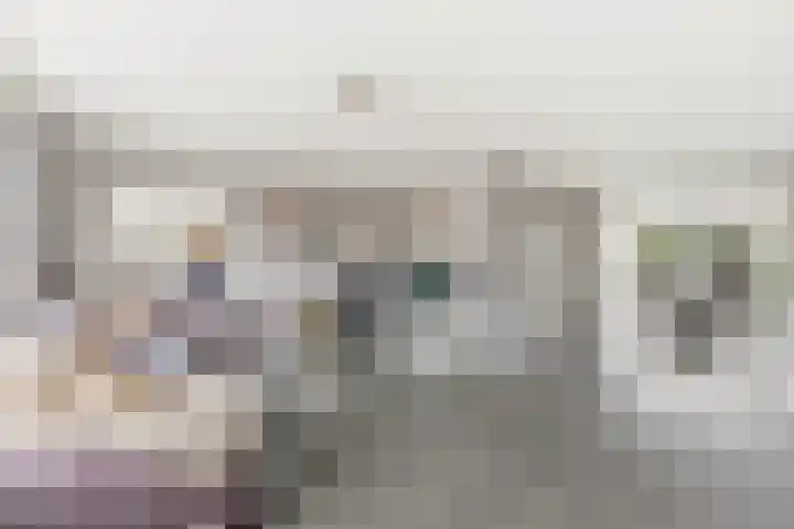 Burgemeester Nieborgstraat 4 Nieuw-Lekkerland thumbnail 4