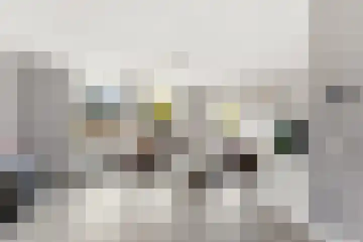 Burgemeester Nieborgstraat 4 Nieuw-Lekkerland thumbnail 6