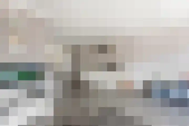 Burgemeester Nieborgstraat 4 Nieuw-Lekkerland thumbnail 8