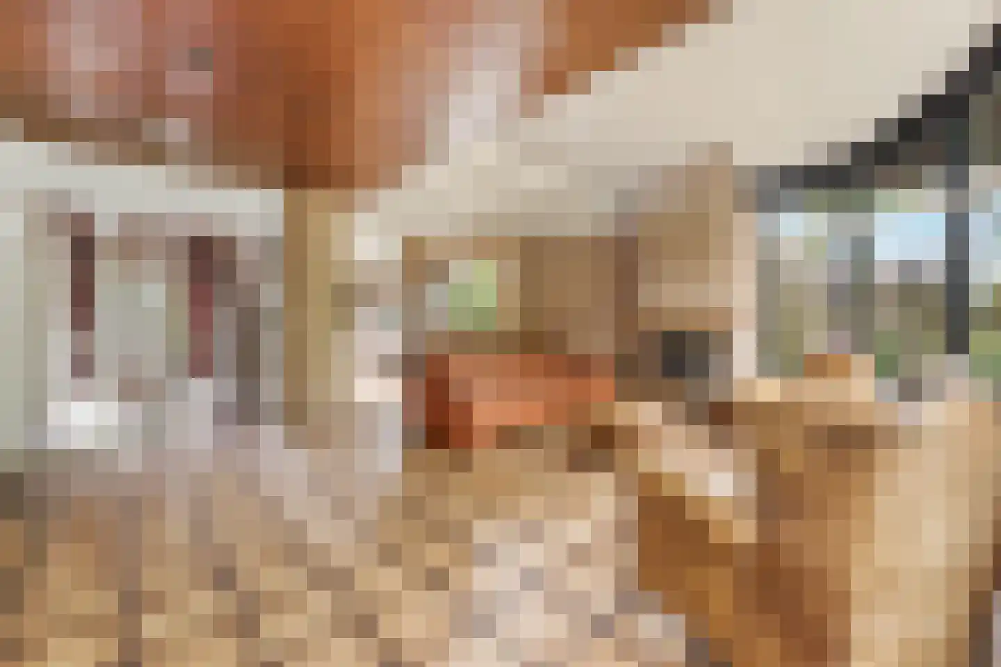 Burgemeester Nieborgstraat 7 Nieuw-Lekkerland thumbnail 11