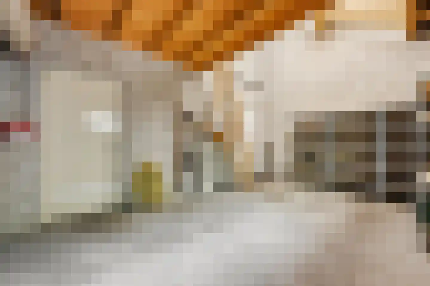 Burgemeester Nieborgstraat 7 Nieuw-Lekkerland thumbnail 37