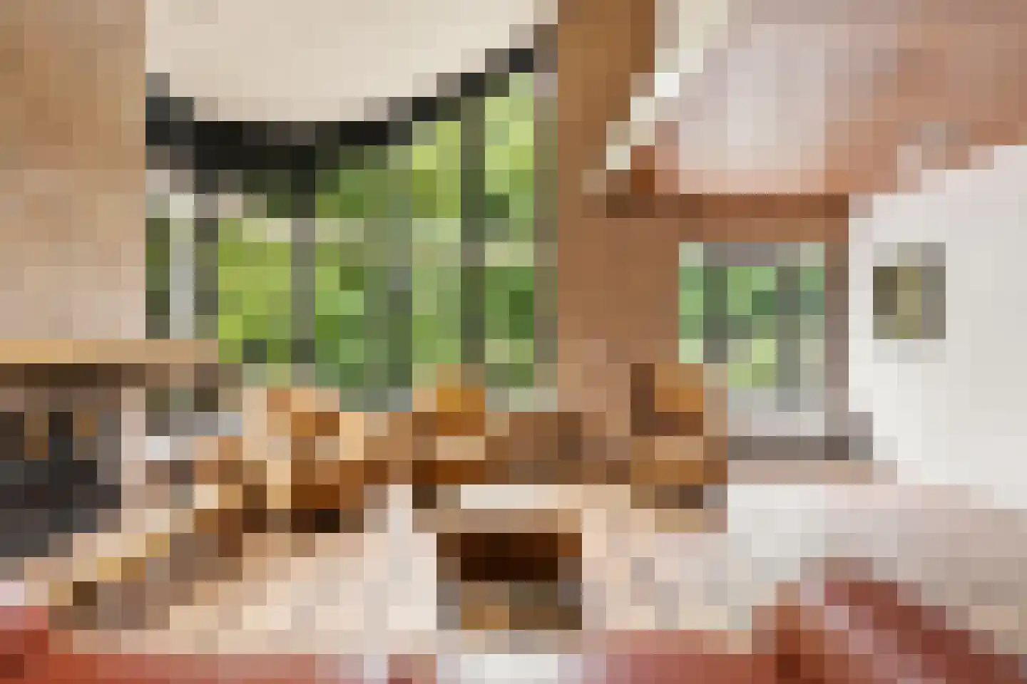 Burgemeester Nieborgstraat 7 Nieuw-Lekkerland thumbnail 5