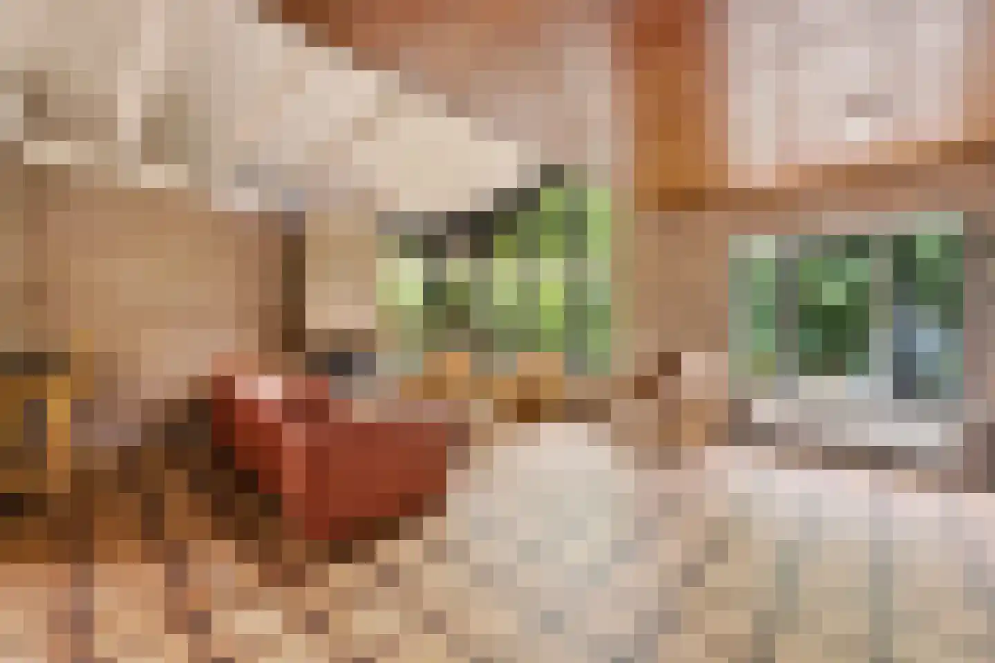 Burgemeester Nieborgstraat 7 Nieuw-Lekkerland thumbnail 7
