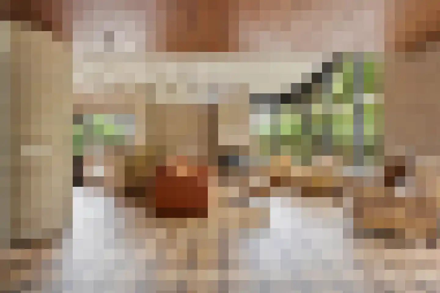 Burgemeester Nieborgstraat 7 Nieuw-Lekkerland thumbnail 9