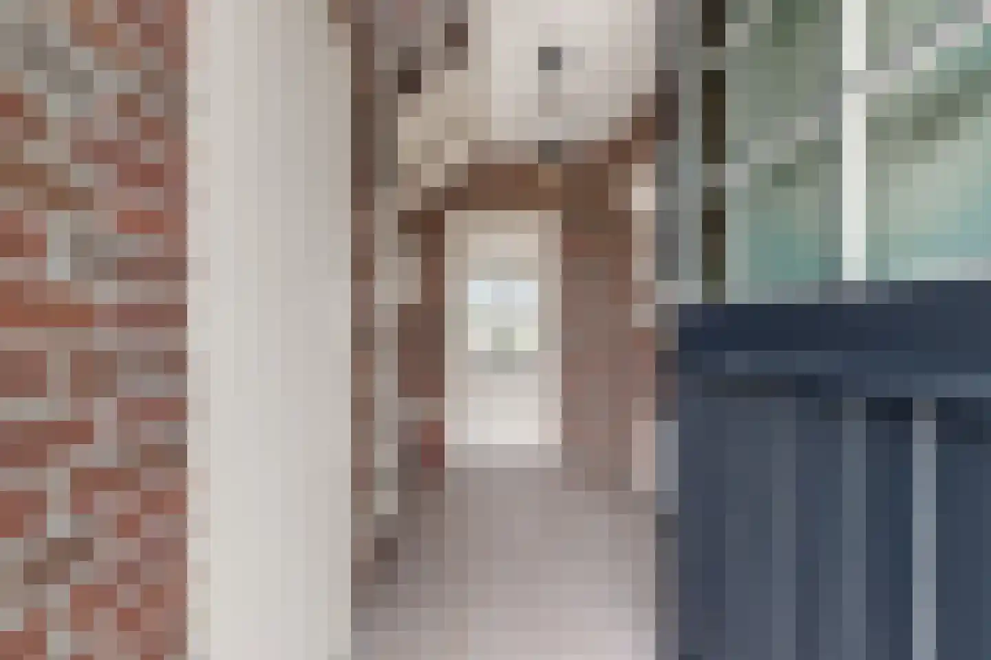 Burgemeester Nieuwenhuijsenstraat 34 Limmen thumbnail 10