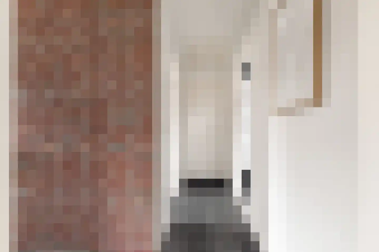 Burgemeester Nieuwenhuijsenstraat 34 Limmen thumbnail 33