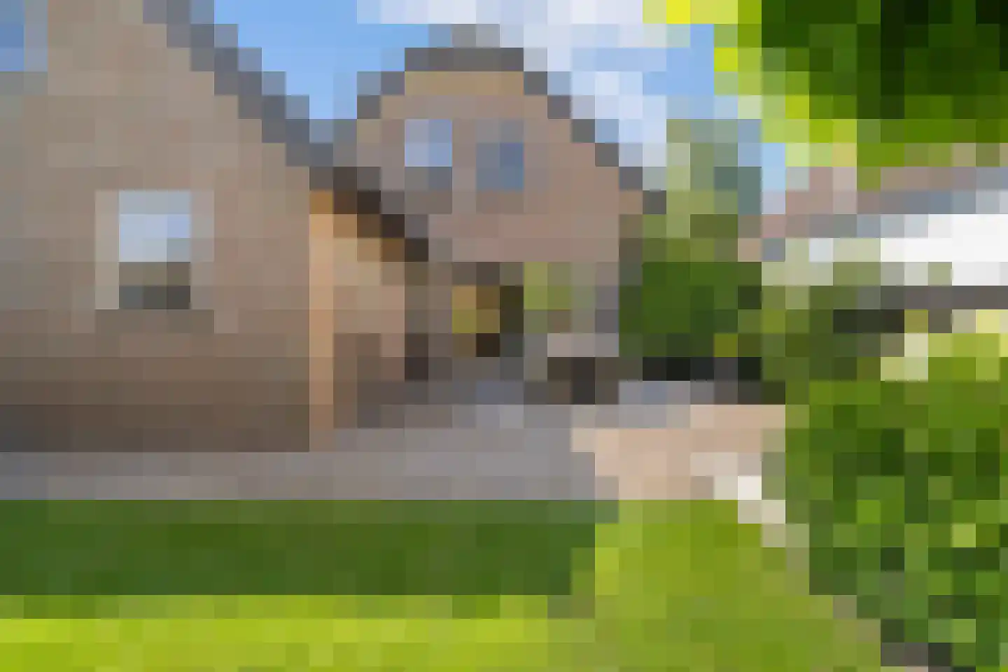 Burgemeester Nieuwenhuijsenstraat 34 Limmen thumbnail 5