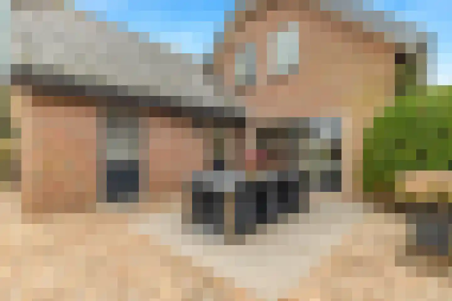 Burgemeester Nieuwenhuijsenstraat 34 Limmen thumbnail 53