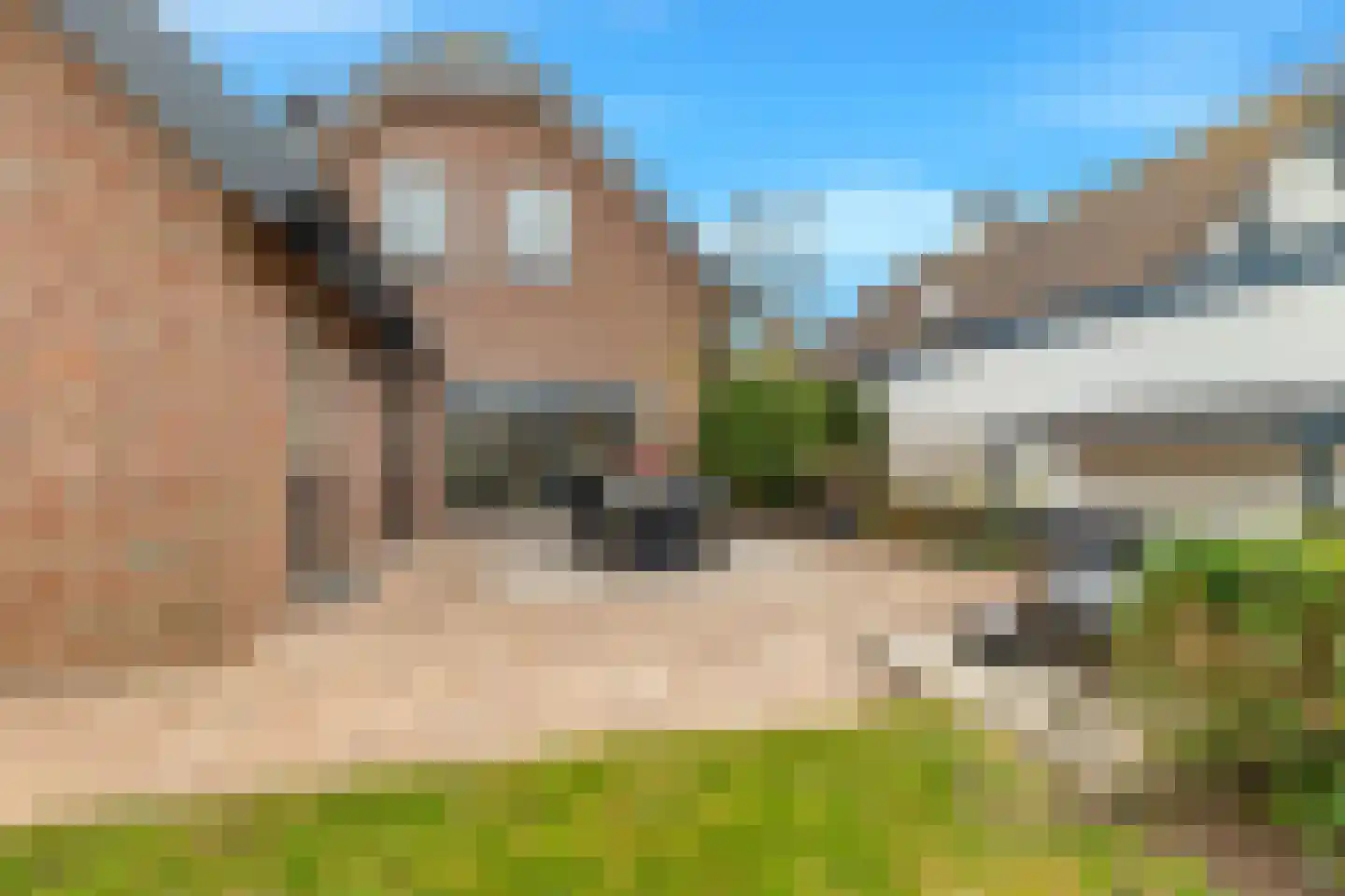 Burgemeester Nieuwenhuijsenstraat 34 Limmen thumbnail 54