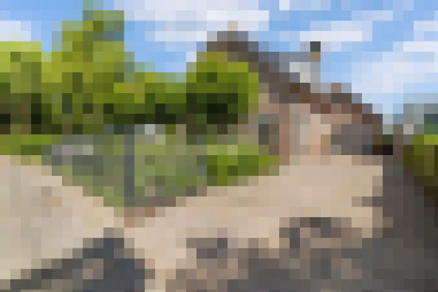 Burgemeester Nieuwenhuijsenstraat 34 Limmen thumbnail 6