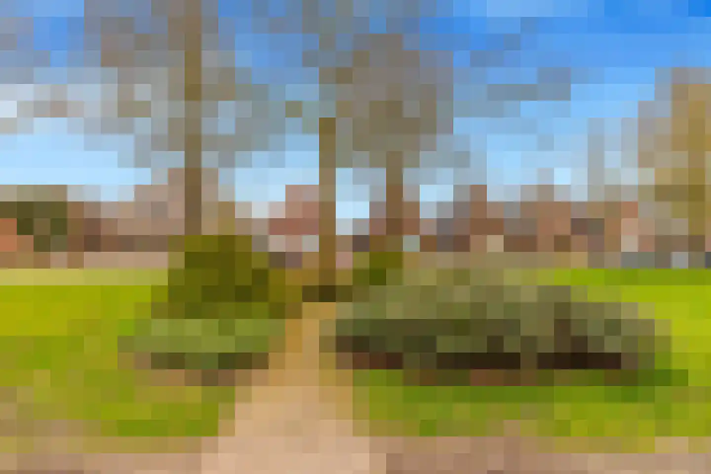 Burgemeester Nieuwenhuijsenstraat 34 Limmen thumbnail 65