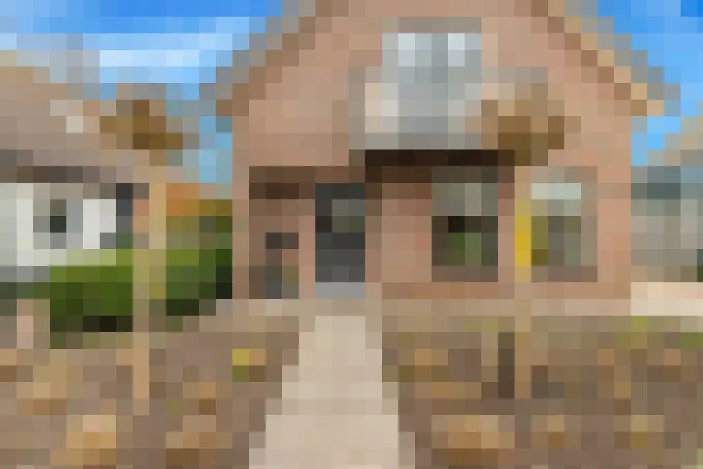 Burgemeester Nieuwenhuijsenstraat 34 Limmen thumbnail 7