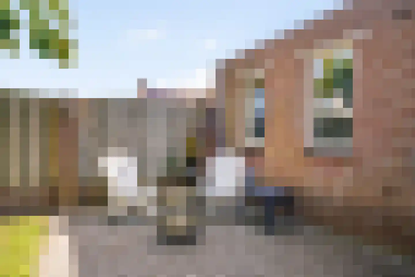 Burgemeester Nieuwenhuijsenstraat 99 Limmen thumbnail 38