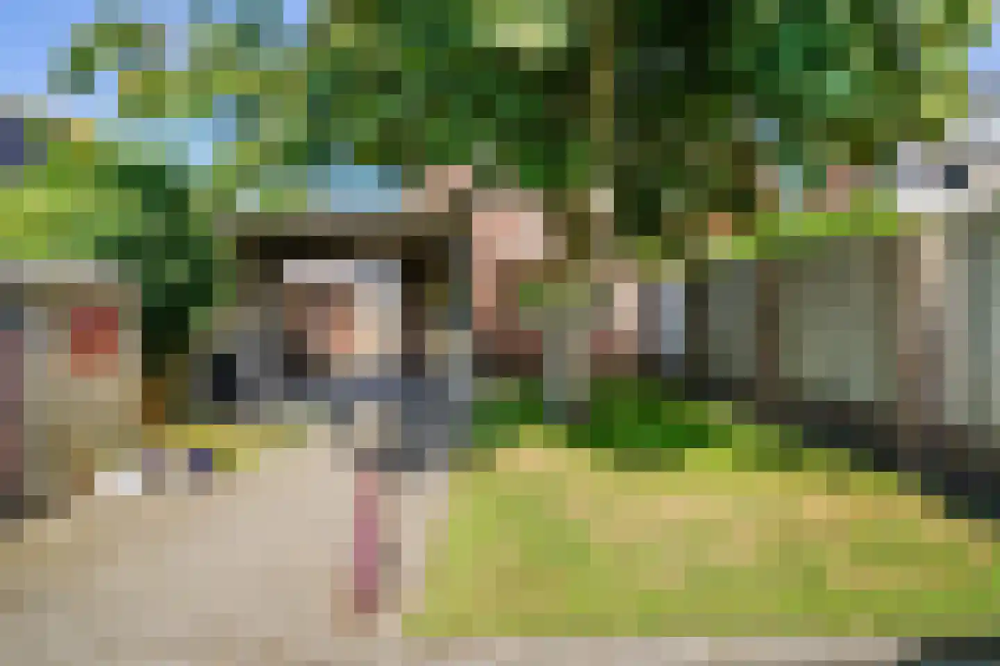 Burgemeester Nieuwenhuijsenstraat 99 Limmen thumbnail 4