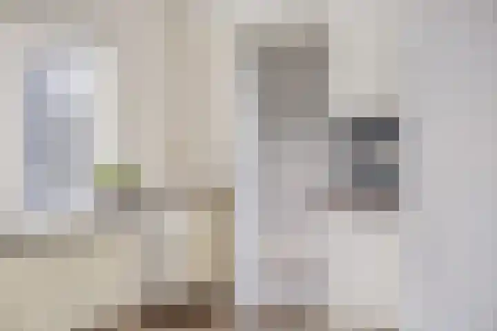 Burgemeester Nijsinghweg 10 Ruinerwold thumbnail 15