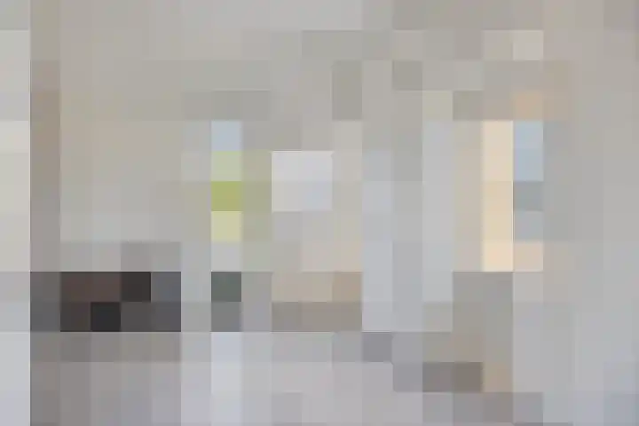 Burgemeester Nijsinghweg 10 Ruinerwold thumbnail 17