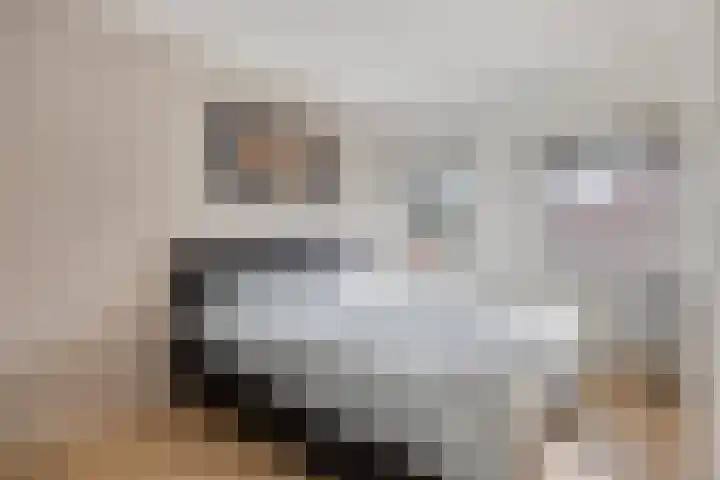 Burgemeester Nijsinghweg 10 Ruinerwold thumbnail 21