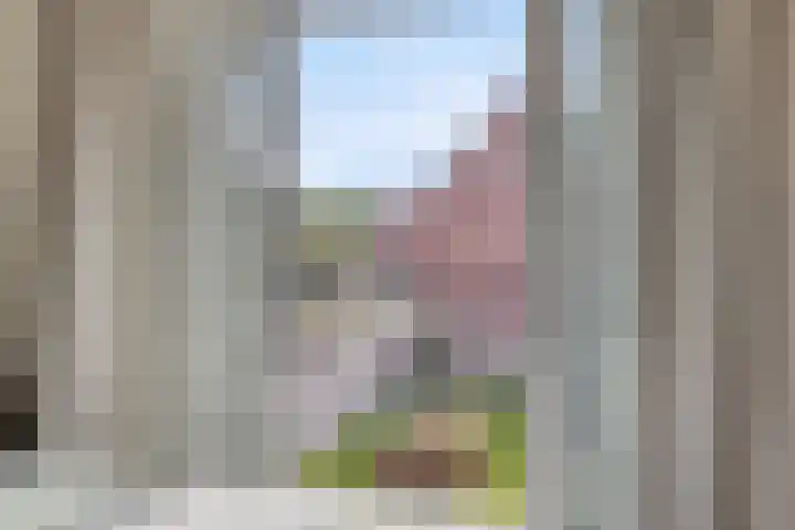 Burgemeester Nijsinghweg 10 Ruinerwold thumbnail 22