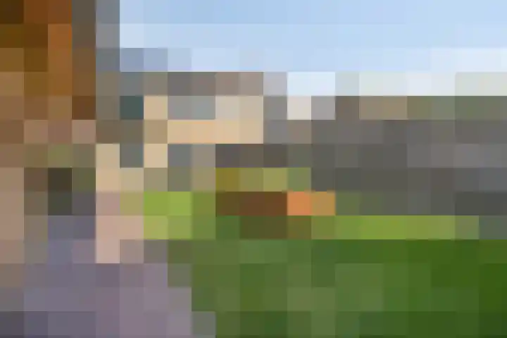 Burgemeester Nijsinghweg 10 Ruinerwold thumbnail 25