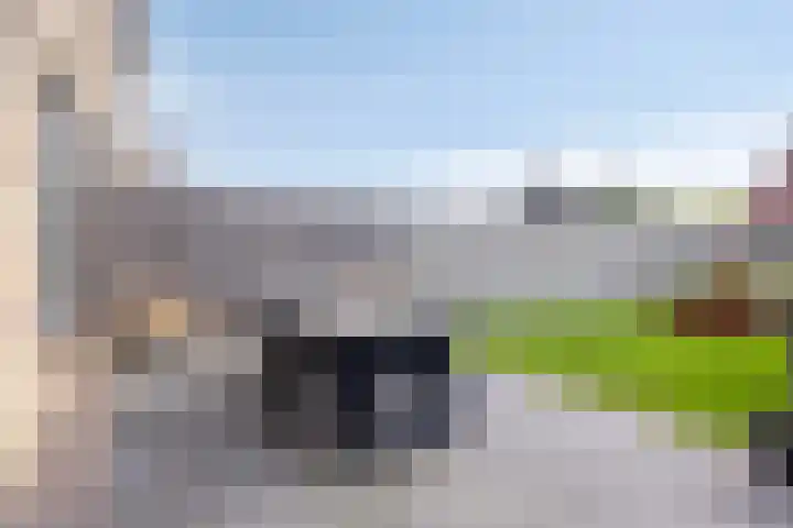 Burgemeester Nijsinghweg 10 Ruinerwold thumbnail 27