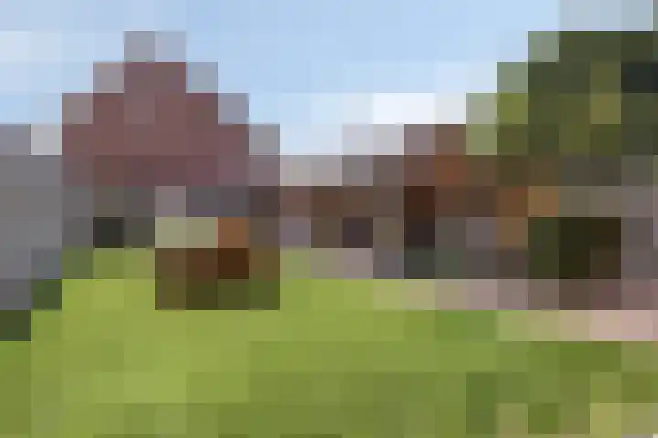 Burgemeester Nijsinghweg 10 Ruinerwold thumbnail 28