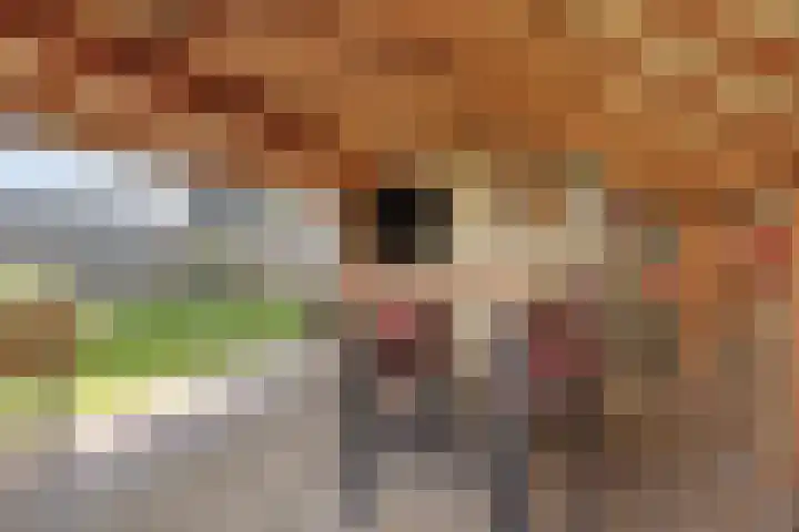 Burgemeester Nijsinghweg 10 Ruinerwold thumbnail 30
