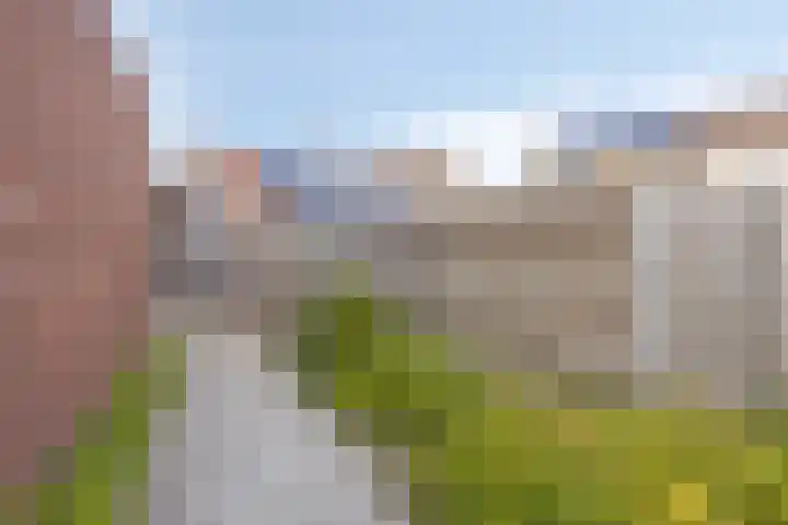 Burgemeester Nijsinghweg 10 Ruinerwold thumbnail 31