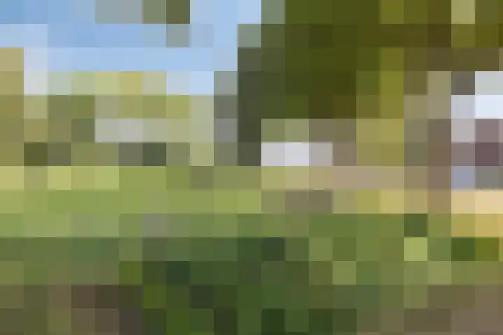 Burgemeester Nijsinghweg 10 Ruinerwold thumbnail 32