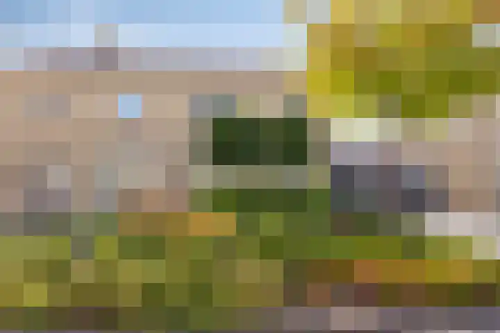 Burgemeester Nijsinghweg 10 Ruinerwold thumbnail 35