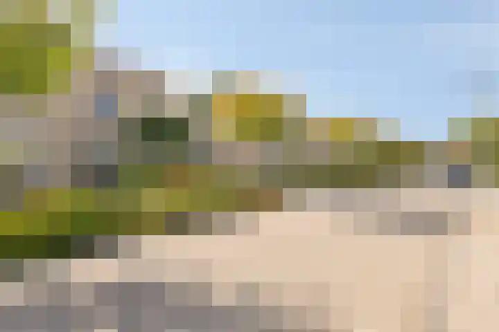 Burgemeester Nijsinghweg 10 Ruinerwold thumbnail 36