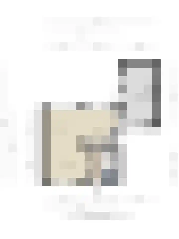 Burgemeester Nijsinghweg 10 Ruinerwold thumbnail 37