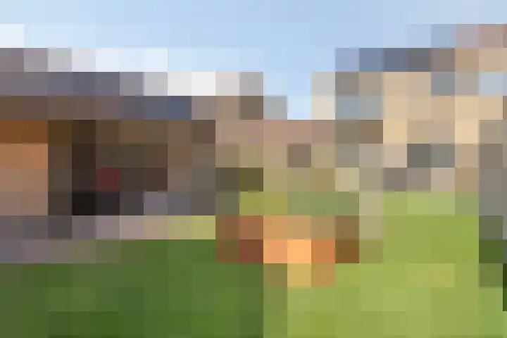 Burgemeester Nijsinghweg 10 Ruinerwold thumbnail 4
