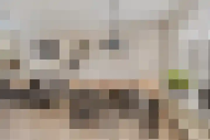 Burgemeester Nijsinghweg 10 Ruinerwold thumbnail 5