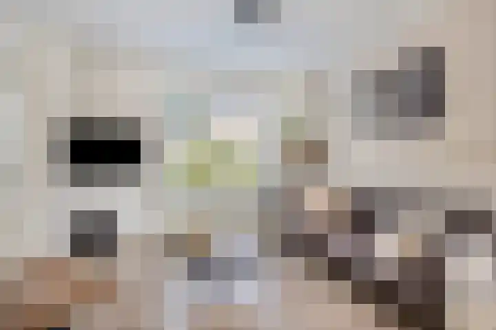 Burgemeester Nijsinghweg 10 Ruinerwold thumbnail 6