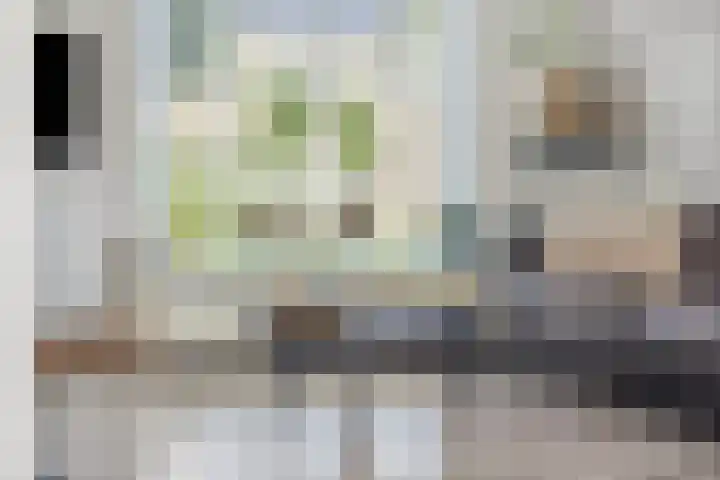 Burgemeester Nijsinghweg 10 Ruinerwold thumbnail 7