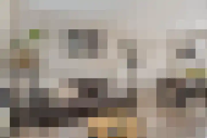 Burgemeester Nijsinghweg 10 Ruinerwold thumbnail 8