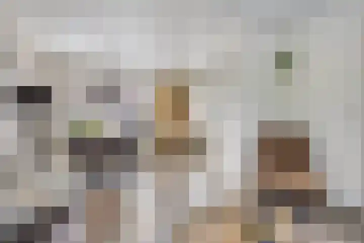 Burgemeester Nijsinghweg 10 Ruinerwold thumbnail 9