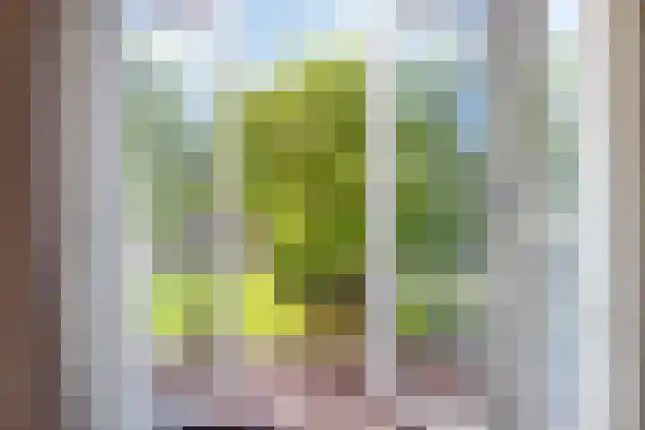 Burgemeester Nijsinghweg 11 Ruinerwold thumbnail 10